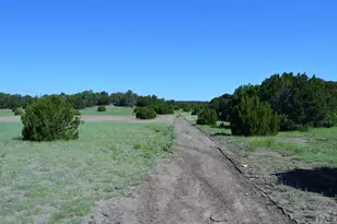 205 Hoofprint Ct, Walsenburg, CO 81089 - Photo 2