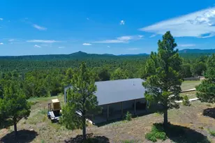 22010 Steffi Dr, Aguilar, CO 81020 - Photo 48