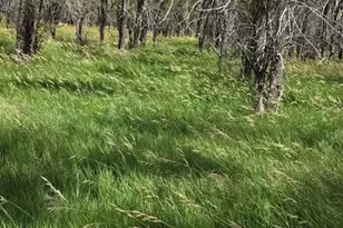 7621 Hwy 50, Las Animas, CO 81054 - Photo 48