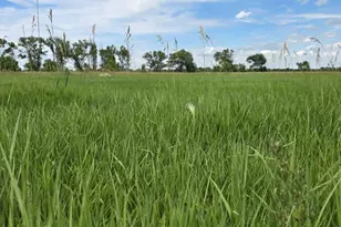 7621 Hwy 50, Las Animas, CO 81054 - Photo 54