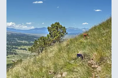 96 N Matterhorn Circle, Westcliffe, CO 81252 - Photo 16