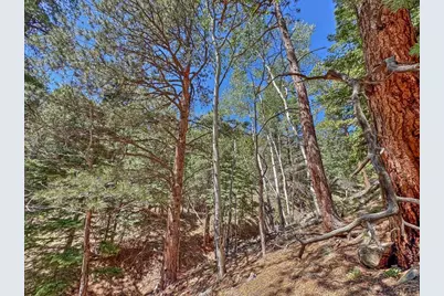96 N Matterhorn Circle, Westcliffe, CO 81252 - Photo 28