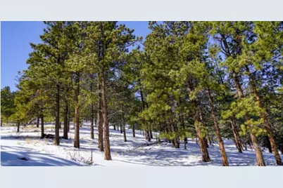 96 N Matterhorn Circle, Westcliffe, CO 81252 - Photo 14
