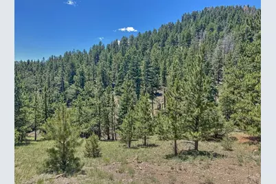 96 N Matterhorn Circle, Westcliffe, CO 81252 - Photo 6