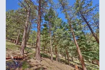 96 N Matterhorn Circle, Westcliffe, CO 81252 - Photo 24