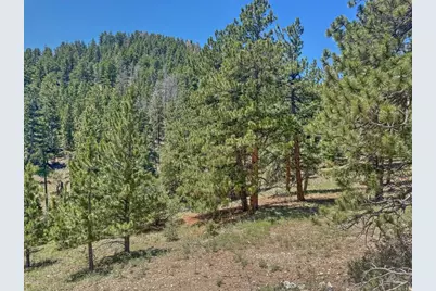 96 N Matterhorn Circle, Westcliffe, CO 81252 - Photo 10