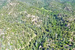 21691 Co Rd 67, Penrose, CO 81223 - Photo 46