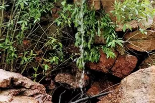 21691 Co Rd 67, Penrose, CO 81223 - Photo 32