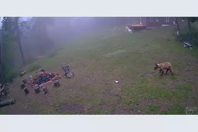 21691 County Rd 67, Penrose, CO 81223 - Photo 34