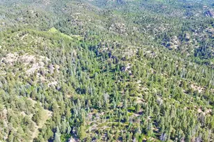 21691 Co Rd 67, Penrose, CO 81223 - Photo 38