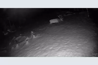 21691 County Rd 67, Penrose, CO 81223 - Photo 36