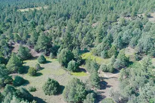 23560 Bighorn Dr, Aguilar, CO 81020 - Photo 64