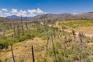 Lot 1626 Emery Loop, Fort Garland, CO 81133 - Photo 1