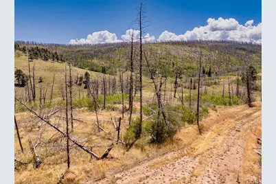 14 Lots No Site Address, Fort Garland, CO 81133 - Photo 2
