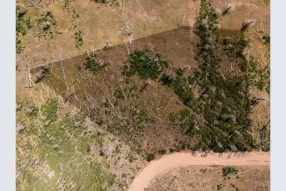 14 Lots No Site Address, Fort Garland, CO 81133 - Photo 6