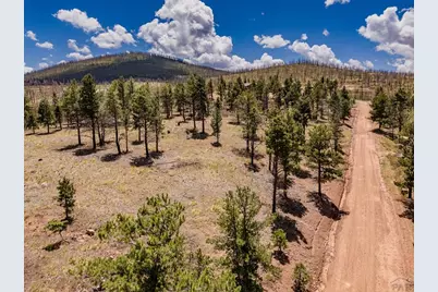 14 Lots No Site Address, Fort Garland, CO 81133 - Photo 8