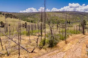 Lot 1534 Berger Ln, Fort Garland, CO 81133 - Photo 1