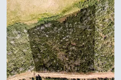 Lot 1656 Lutolf Ln, Fort Garland, CO 81133 - Photo 4