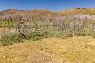 Lot 1852 Sturm Ln, Fort Garland, CO 81133 - Photo 1