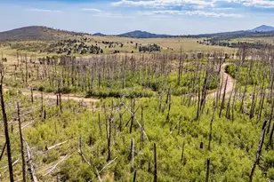 Lot 1925 Korlkoff Ln, Fort Garland, CO 81133 - Photo 1