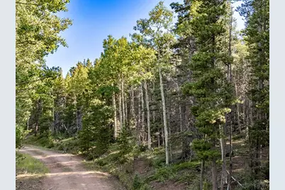 Lot 3231 Zipf Ln, Fort Garland, CO 81133 - Photo 1