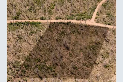 Lot 459 Mulligan, Fort Garland, CO 81133 - Photo 2