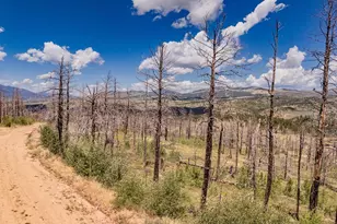 Lot 459 Mulligan, Fort Garland, CO 81133 - Photo 1