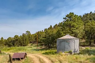 14600 County Rd 30 1, Weston, CO 81091 - Photo 50