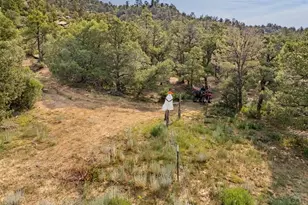 14600 County Rd 30 1, Weston, CO 81091 - Photo 48