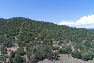 25850 River Pines Rd, Aguilar, CO 81020 - Photo 54