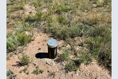 875 Beech Blvd., Westcliffe, CO 81252 - Photo 6