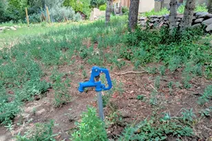 505 W 10th St, Walsenburg, CO 81089 - Photo 4