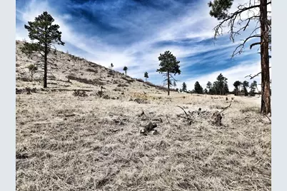 377 Color Sweet Dr., Cotopaxi, CO 81223 - Photo 4