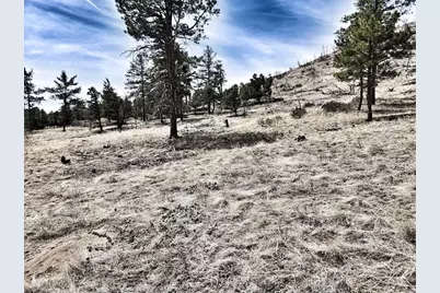 377 Color Sweet Dr., Cotopaxi, CO 81223 - Photo 2