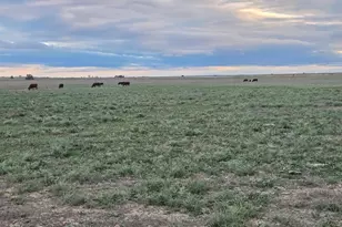 61776 Huckleberry Rd, Boone, CO 81025 - Photo 26