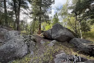 181 Lion Gulch Rd, Rye, CO 81069 - Photo 18