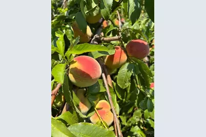 417 Greenwood Ave, Canon City, CO 81212 - Photo 50