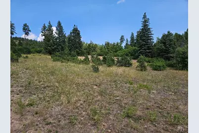 6738 Greenhorn Mountain Dr, Beulah, CO 81023 - Photo 14
