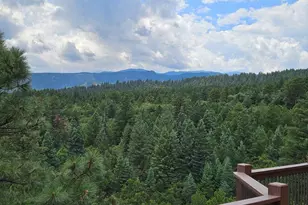 6738 Greenhorn Mountain Dr, Beulah, CO 81023 - Photo 18