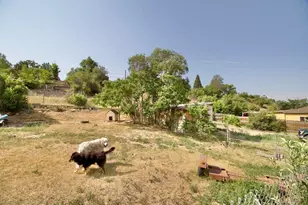 315 High St, Trinidad, CO 81082 - Photo 56