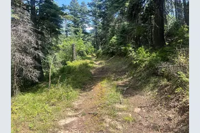 Tbd Bartlett Trail, Rye, CO 81069 - Photo 4