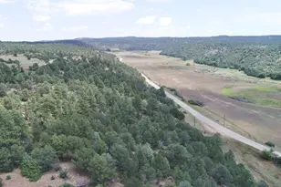 24225 County Rd 43 7, Aguilar, CO 81020 - Photo 46