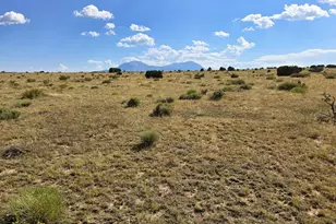 24 Rio Cucharas, Walsenburg, CO 81089 - Photo 1