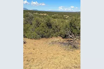 Lot 463 Rio Cucharas, Walsenburg, CO 81089 - Photo 4