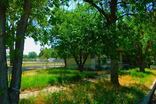 974 Pine Ave, Rocky Ford, CO 81067 - Photo 6