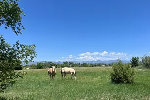 988 P St, Penrose, CO 81240 - Photo 36
