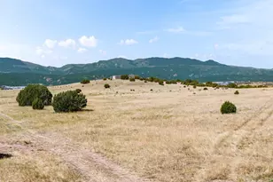 7015 Burnt Mill Rd, Beulah, CO 81023 - Photo 34