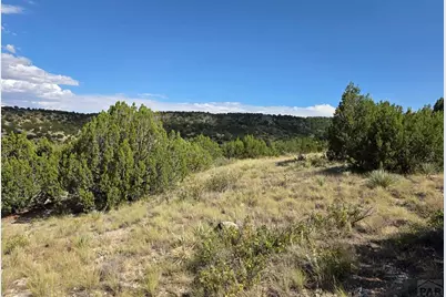 Lot 24 Pope Valley Ranch Rd, Beulah, CO 81023 - Photo 12
