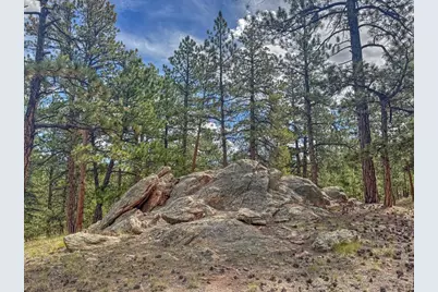 111 Sioux Trail, Westcliffe, CO 81252 - Photo 24