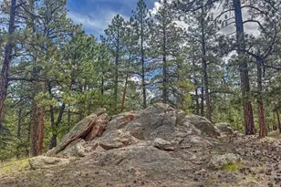 111 Sioux Trail, Westcliffe, CO 81252 - Photo 24